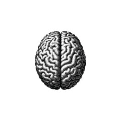 Vintage Brain Illustration - Black and White Line Art, drawn in an engraved, woodcut style with fine details sketch engraving vector illustration. Scratch board imitation. Black and white image. 