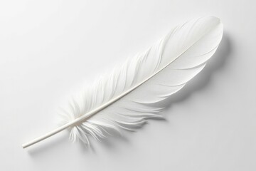 Obraz premium A single pristine white feather against a pure white backdrop, fluffy, elegant