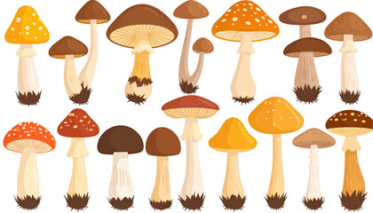 Colorful Collection of Various Mushroom Species with Different Shapes