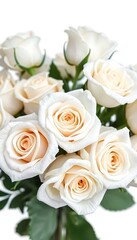 bunch of white roses in a vase