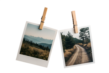 Two Polaroid Snapshots Misty Mountain Vista and Winding Dirt Road through Pine Forest
