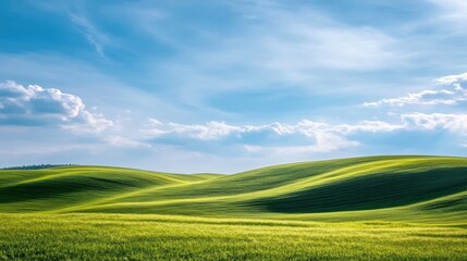 Obraz premium Scenic expanses of lush green hills under a vibrant sky filled with light clouds