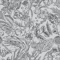 ilustrasi sketsa baground pattern tanaman rempah untuk bumbu masakan khas tradisional indonesia asia 