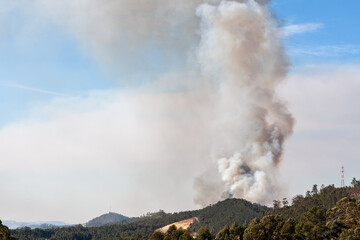 Forest fire with a lot of smoke in the sky, Portugal
