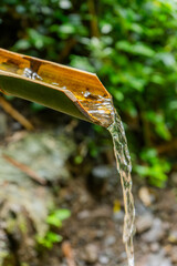 clear water flows through bamboo directly from the spring