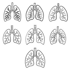 Set Of Lungs icon. Simple solid style. Human internal organ, lung, respiratory system, pulmonology concept. Black silhouette, glyph symbol. Vector illustration
