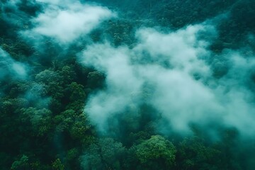 Misty Rainforest Aerial View. (19)