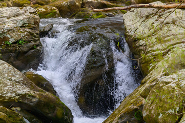 Rapids on Daniel Creek in Cloudland Canyon State Park, near Rising Fawn, Georgia.
