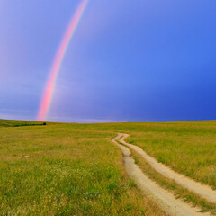Rainbow over the meadow