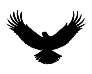 Obraz premium Black Eagle Silhouette Vector Graphic