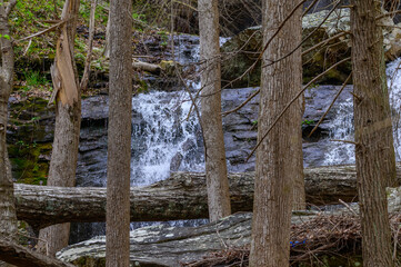 Rapids on Daniel Creek in Cloudland Canyon State Park, near Rising Fawn, Georgia.