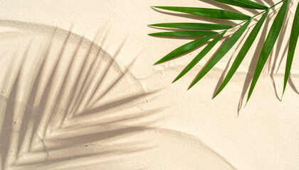 Obraz premium Summer beach day scene with tropical palms shadow on sand background