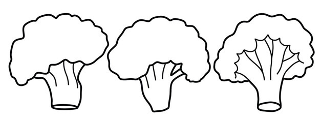 Doodle set of cute Hand drawn outline broccoli vector.