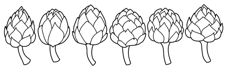 Doodle set of cute Hand drawn outline artichoke vector.