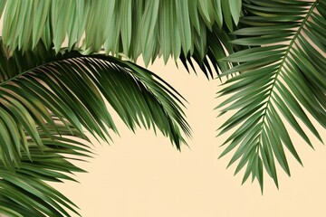Obraz premium Lush tropical palm fronds against a pale beige backdrop.