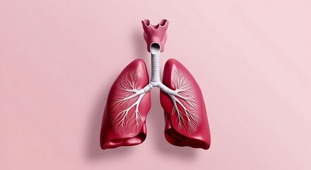Realistic 3D anatomical rendering of human lungs with detailed bronchial structures on a soft pink background, symbolizing respiratory health, biology, and medical science
