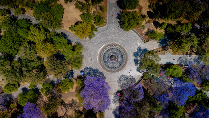 primavera en la ciudad
