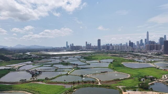 Hoo Hok Wai wetland peaceful with birds flying above still water  April 20, 2025