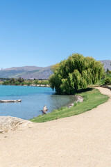 Fototapeta premium Driftwood logs near path around water's edge of Lake Dunstan in Heritage District of Cromwell