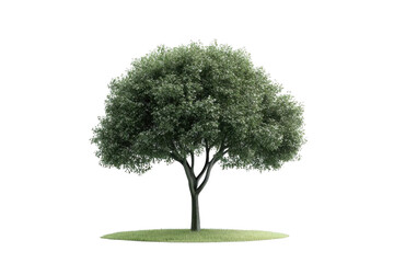 observe Single Tree with Green Foliage and Grass. 3d Rendering Concept.