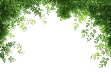 Fresh Green Leaves Frame Design And Add a Natural Touch to Your Projects