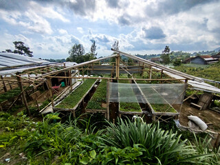 place for planting vegetable seeds in mountainous areas