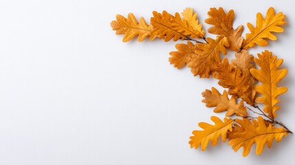 Exploring the Elegance of Botanical Luxury through Golden Metallic Leaves on Dark Backgrounds Designed for Art Lovers and Nature Enthusiasts