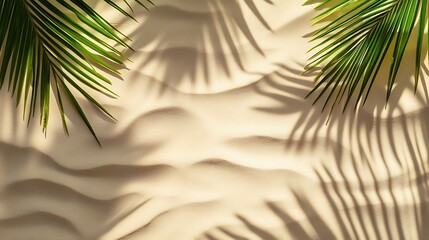 Palm leaves shadow on sand beach. (4)