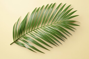 Obraz premium A vibrant green palm leaf on a pale background.