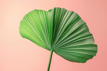 Vibrant palm leaf against a soft pastel background.