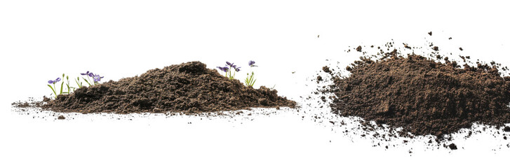 soil with small flowers on transparent background