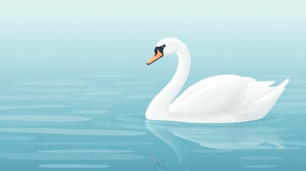 White swan on calm blue water