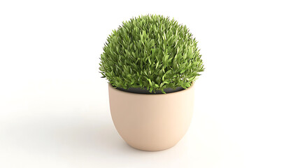 A small plant is in a small pot