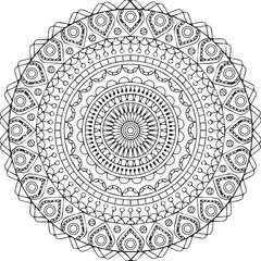 Beautiful flower art and mandala vector design