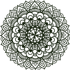 Beautiful flower art and mandala vector design