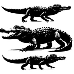 Alligators: Majestic Predators of the Swamp