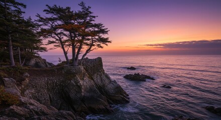 Coastal Tree Silhouette on Rocky Cliff at Sunset with Ocean View