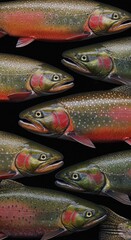 Obraz premium Closeup of Colorful Trout School in Dark Water