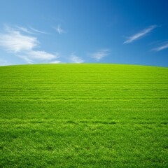 Obraz premium Green Grassy Hill Under Blue Sky