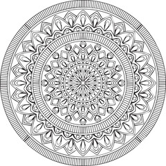 Beautiful flower art and mandala vector design