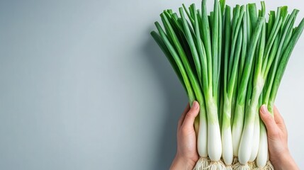 Fresh green onions held in hand on minimal background