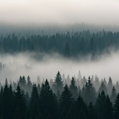 Obraz premium Misty Mountain Forest Landscape with Fog and Dense Trees