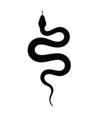 Snake silhouette. This image shows a black snake silhouette with white markings, coiled with its tongue out and tail visible. Vector clipart illustration design.
