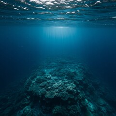 Obraz premium Underwater Coral Reef in Deep Blue Ocean