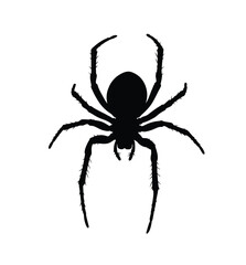 Spider silhouette. This image shows a black silhouette of a spider, an arachnid known for its eight legs, web-spinning abilities, and eerie appearance. Vector clipart illustration design.