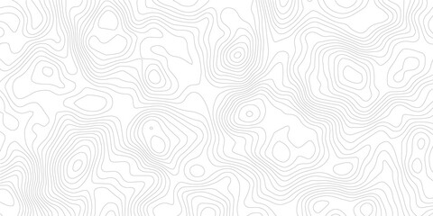 Topography background. Vector banner. Topography map background. Vector geographic contour map. Background of the topographic map. Topographic map lines, contour background. 