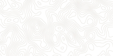 Topography background. Vector banner. Topography map background. Vector geographic contour map. Background of the topographic map. Topographic map lines, contour background. 