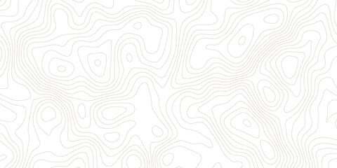 Topography background. Vector banner. Topography map background. Vector geographic contour map. Background of the topographic map. Topographic map lines, contour background. 