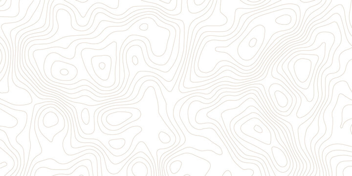 Topography background. Vector banner. Topography map background. Vector geographic contour map. Background of the topographic map. Topographic map lines, contour background. 