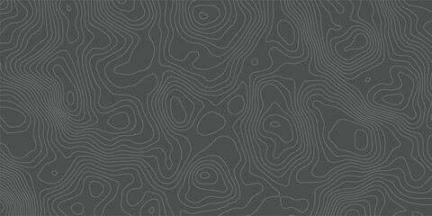 Topography background. Vector banner. Topography map background. Vector geographic contour map. Background of the topographic map. Topographic map lines, contour background. 